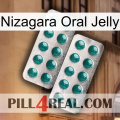 Nizagara Oral Jelly dapoxetine2